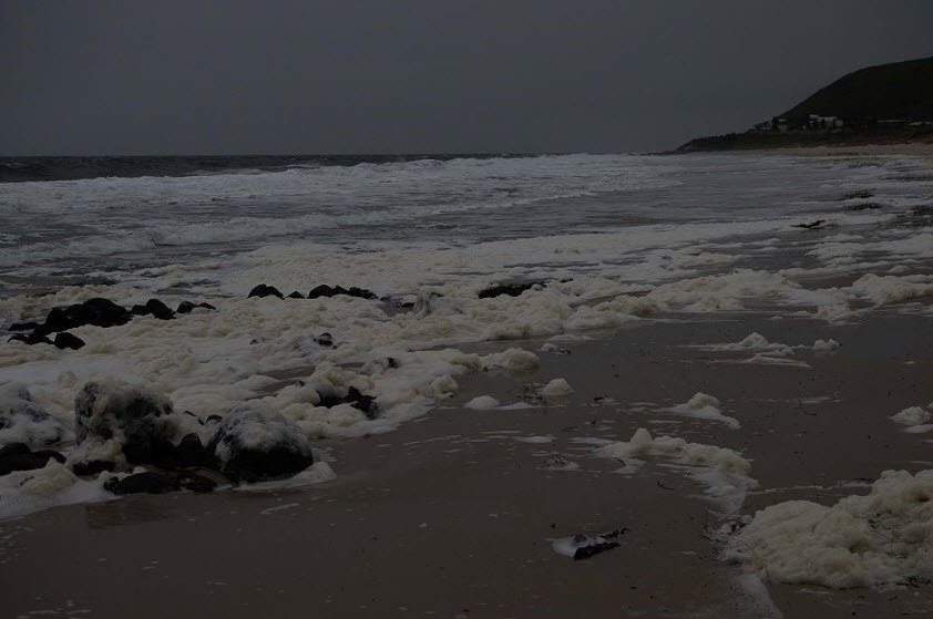 Gahirmatha Marine Sanctuary, , India